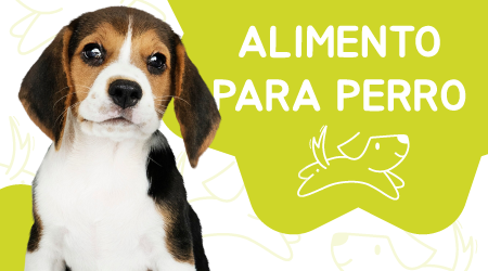 ALIMENTOS PETYA PRIMEROS-01