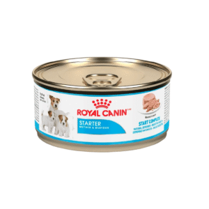 Royal Canin Starter Lata