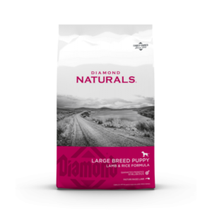 Diamond Cachorro Raza Grande