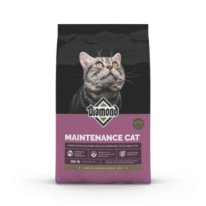 Diamond Maintenance Gato